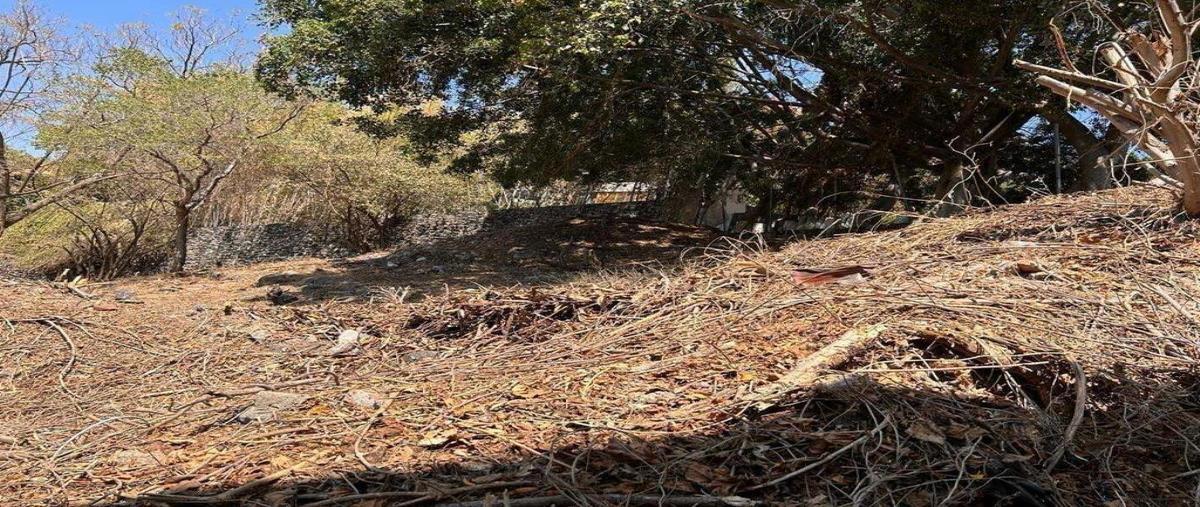 Foto de terreno habitacional en venta en conocida , el palmar, cuernavaca, morelos, 27166339 No. 05