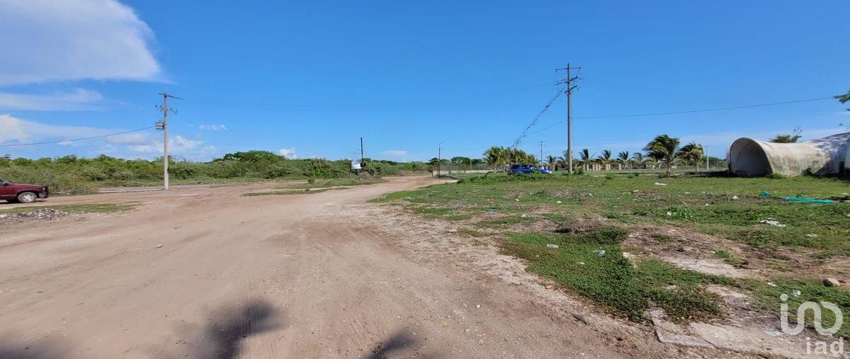 Foto de terreno habitacional en venta en conocida , la puntilla, tecuala, nayarit, 0 No. 05