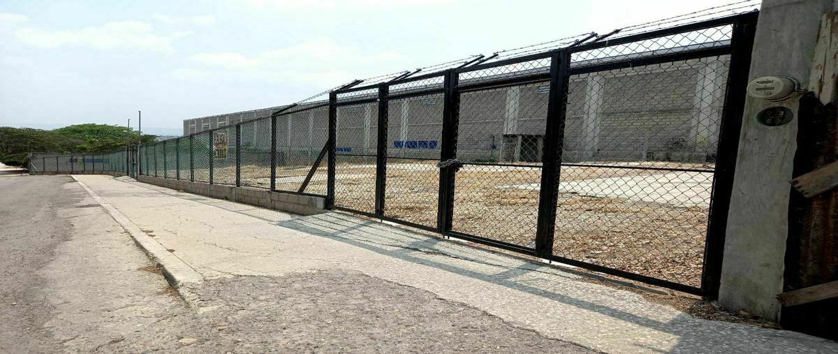 Foto de terreno habitacional en renta en conocida , las palomas, tuxtla gutiérrez, chiapas, 20391272 No. 05