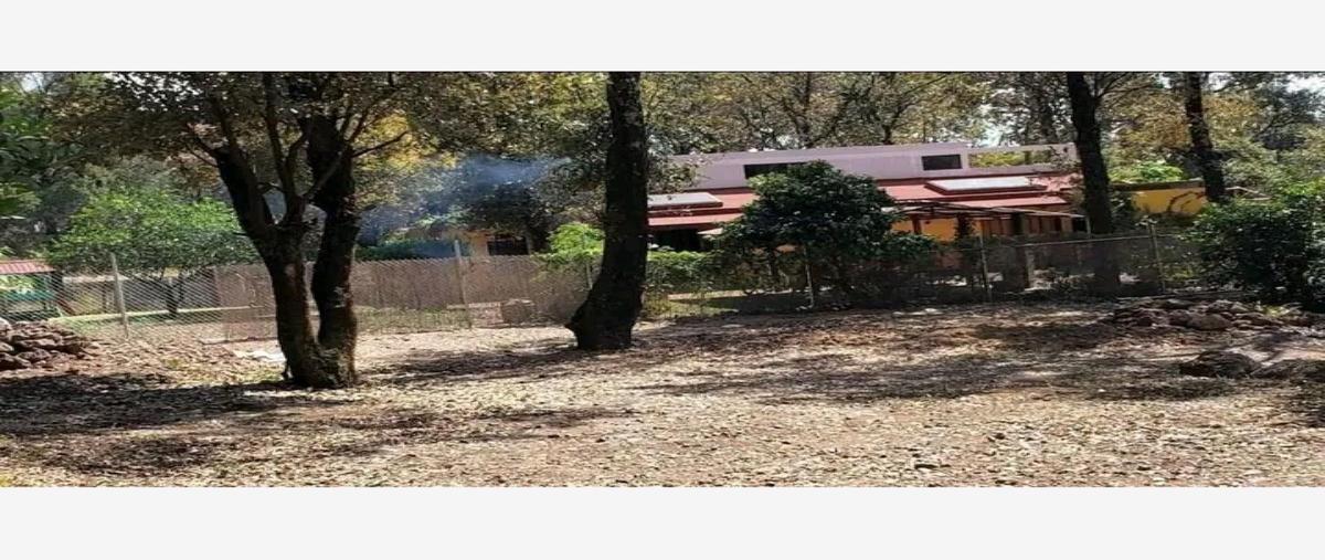 Foto de terreno habitacional en venta en conocida , los ocotes, tepoztlán, morelos, 27857362 No. 01