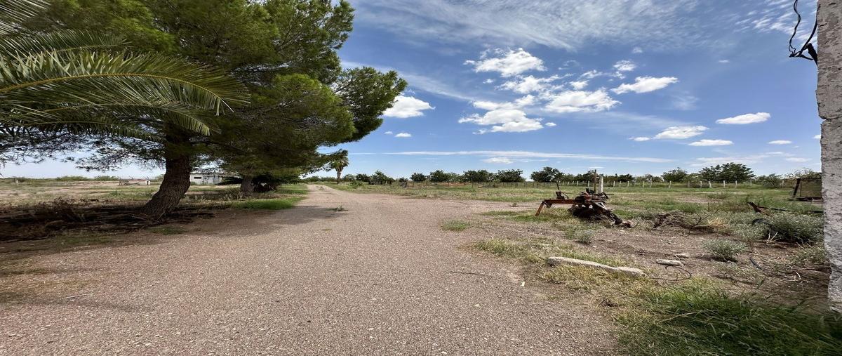 Foto de rancho en venta en conocida , nicolás bravo (km. noventa y dos), delicias, chihuahua, 0 No. 05
