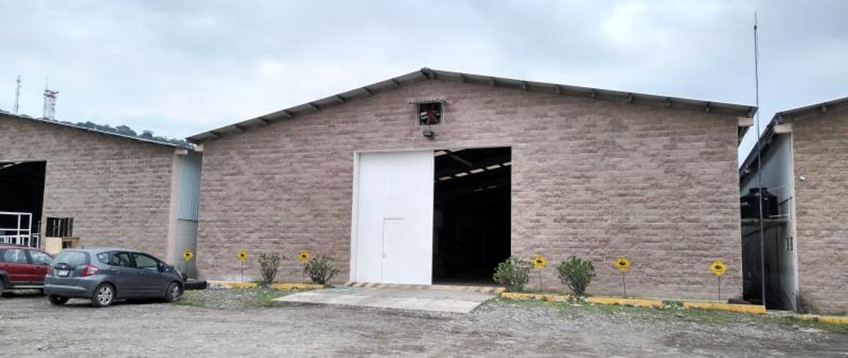Foto de nave industrial en renta en conocida , poza rica, lerdo de tejada, veracruz de ignacio de la llave, 12404882 No. 01