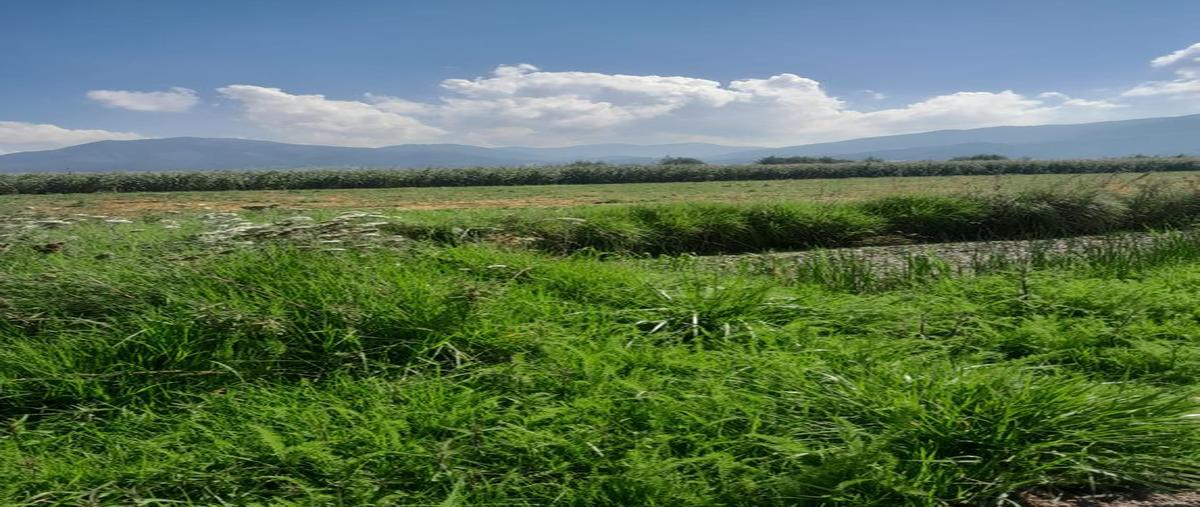 Foto de terreno habitacional en venta en conocida , santa maría atarasquillo, lerma, méxico, 0 No. 03