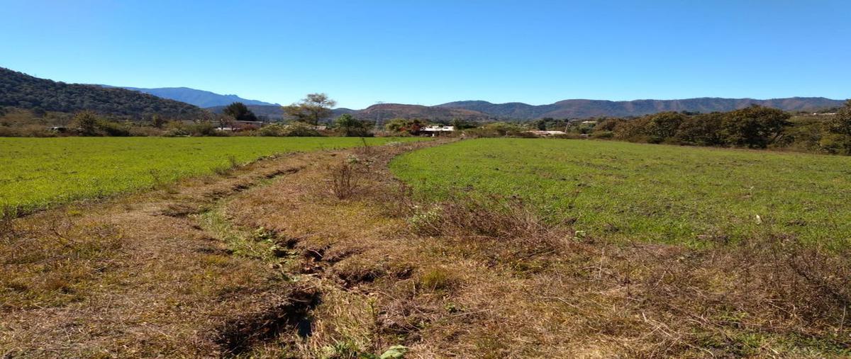 Foto de terreno habitacional en conocida. , santa teresa tilostoc, valle de bravo, méxico, 21392270 foto 05 Foto de terreno habitacional en venta en conocida. , santa teresa tilostoc, valle de bravo, méxico, 21392270 No. 05