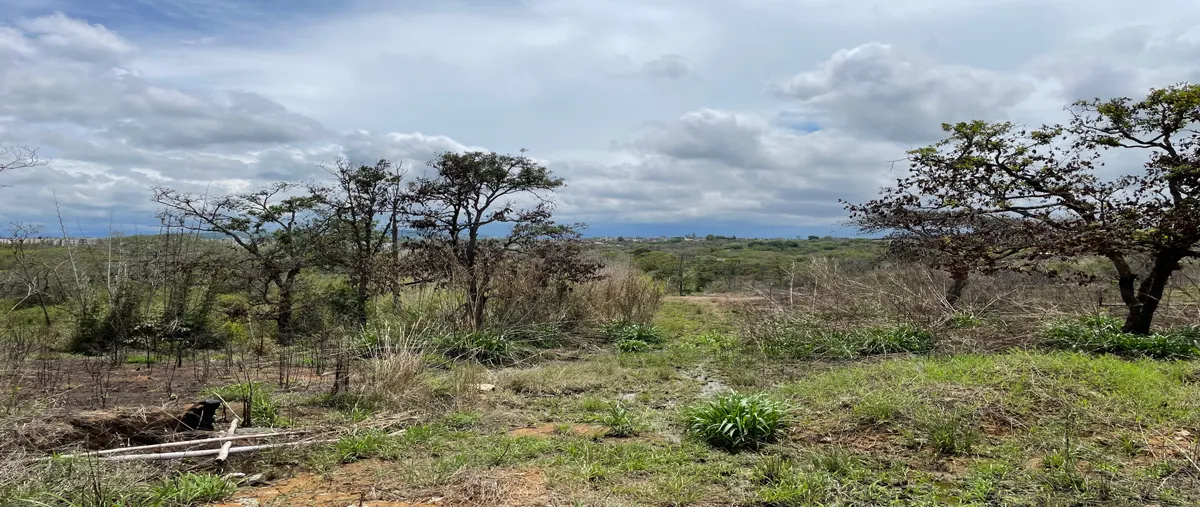 Foto de terreno habitacional en venta en conocida sin numero, el lencero, emiliano zapata, veracruz de ignacio de la llave, 0 No. 05