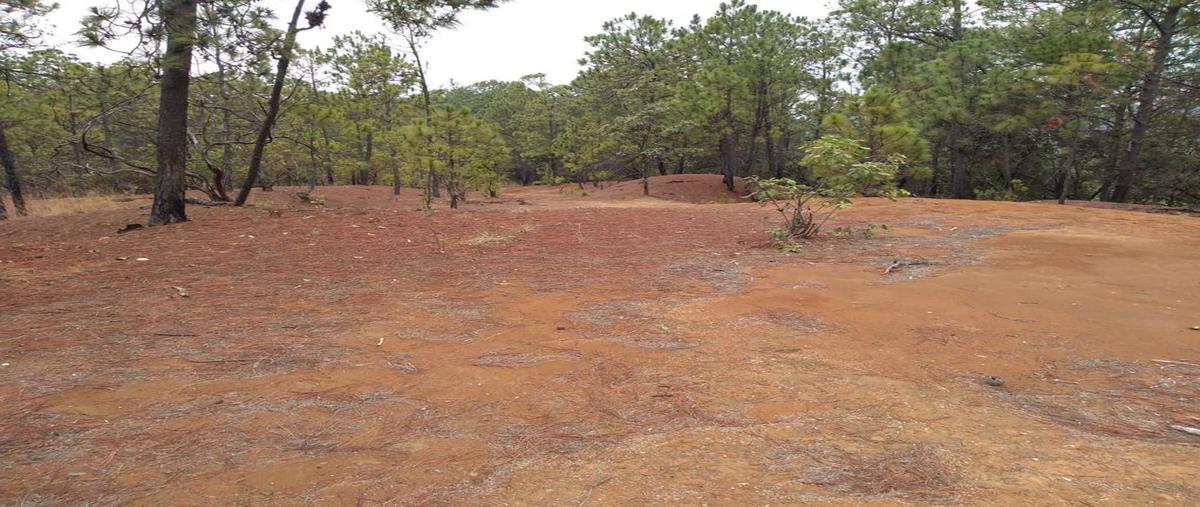 Foto de terreno habitacional en venta en conocida , telpintla, temascaltepec, méxico, 21379733 No. 03
