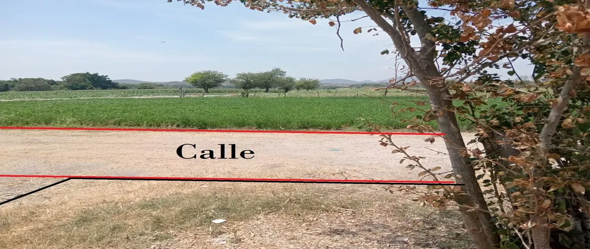 Foto de terreno habitacional en venta en conocido , 20 de noviembre, zacatepec, morelos, 30251367 No. 03