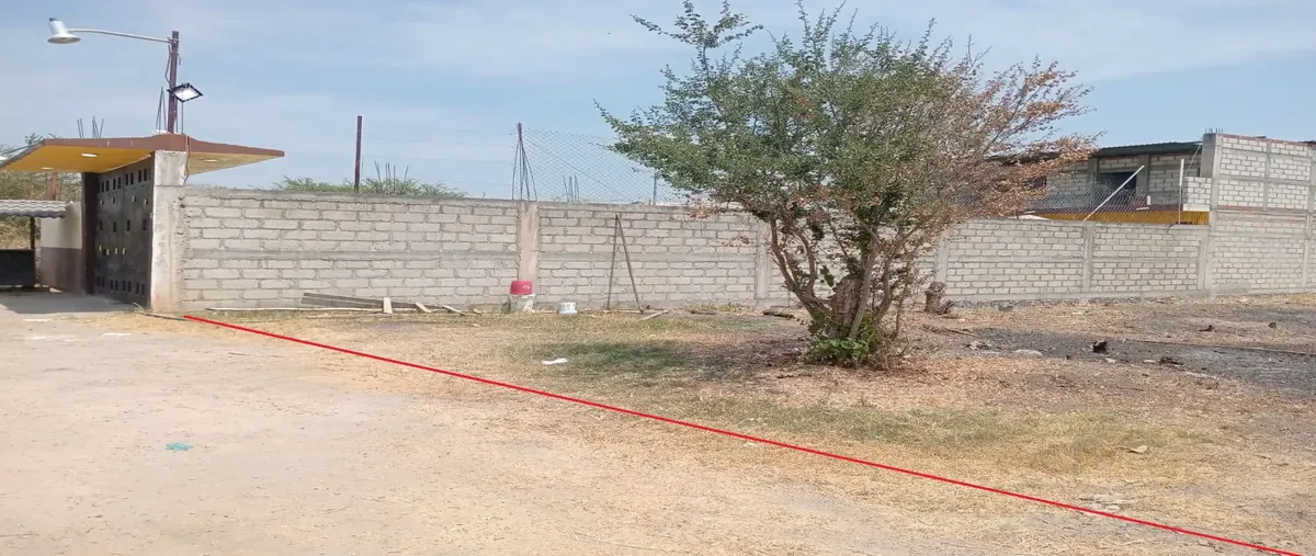 Foto de terreno habitacional en venta en conocido , 20 de noviembre, zacatepec, morelos, 30251367 No. 04