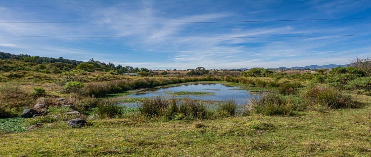 Foto de rancho en venta en conocido , aldama, jilotepec, méxico, 27988207 No. 03