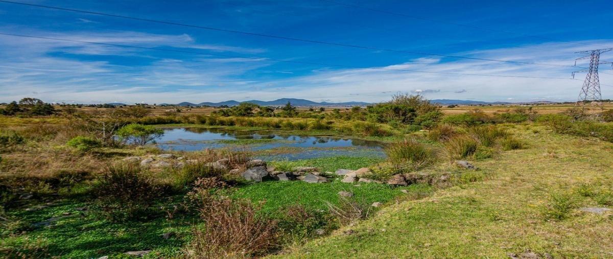Foto de rancho en venta en conocido , aldama, jilotepec, méxico, 27988207 No. 04
