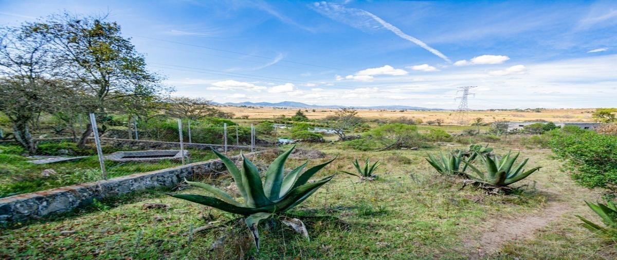 Foto de rancho en venta en conocido , aldama, jilotepec, méxico, 27988207 No. 05