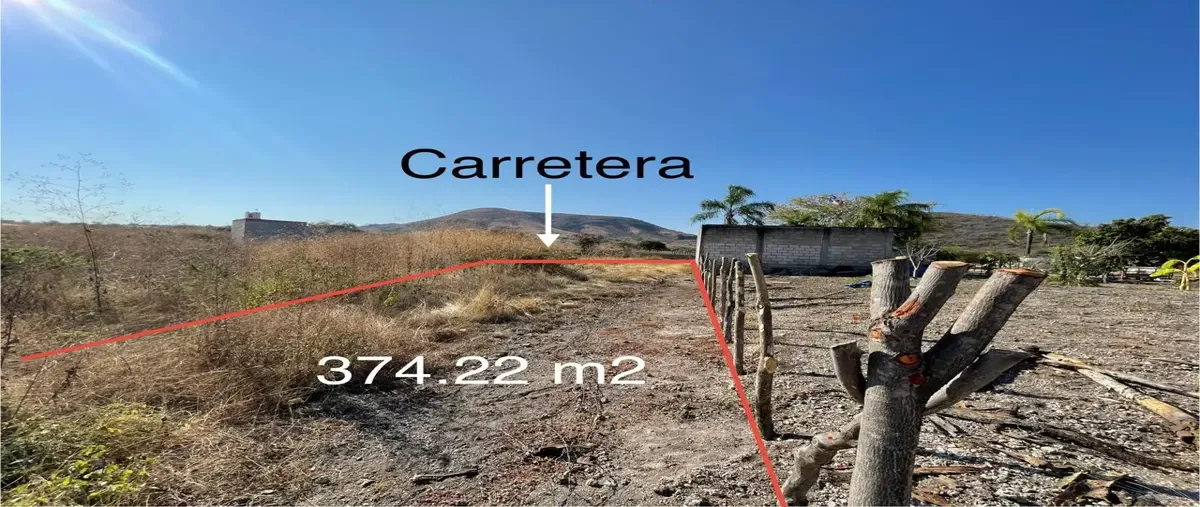 Foto de terreno habitacional en venta en conocido , atlacholoaya, xochitepec, morelos, 0 No. 04