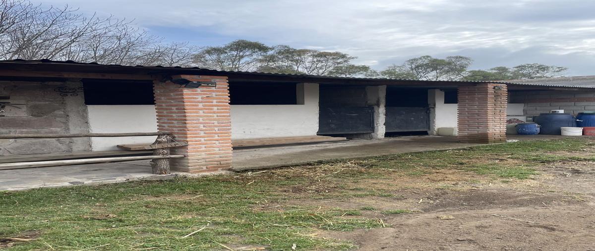 Foto de rancho en venta en conocido , gunyo oriente, aculco, méxico, 28218320 No. 05