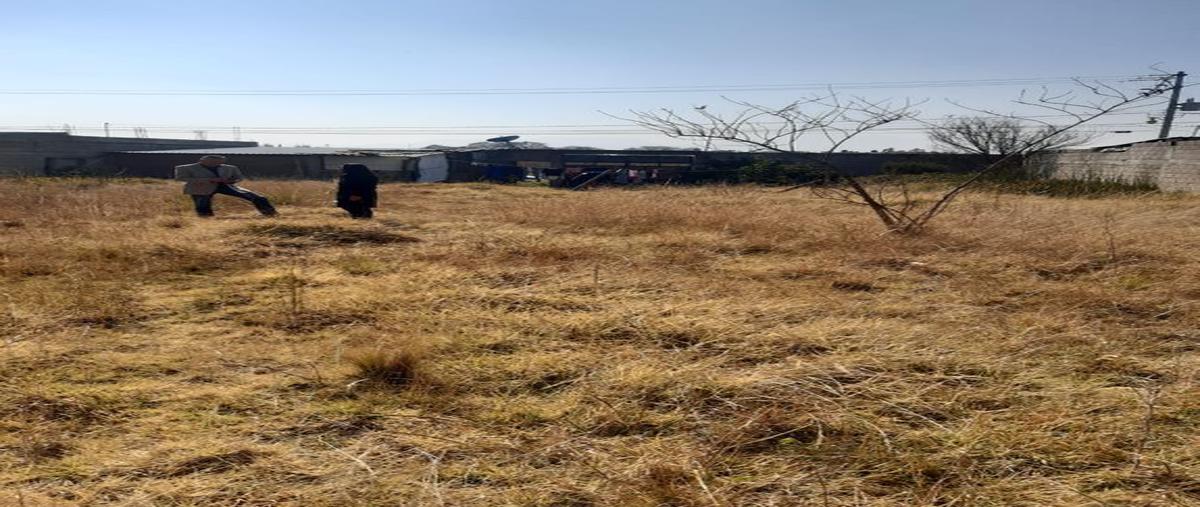 Foto de terreno habitacional en venta en conocido , la concepción coatipac (la conchita), calimaya, méxico, 0 No. 04