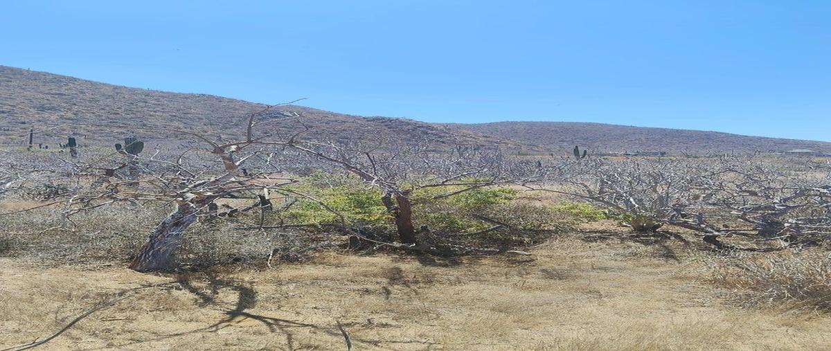 Foto de terreno habitacional en venta en conocido , los cerritos, la paz, baja california sur, 0 No. 04