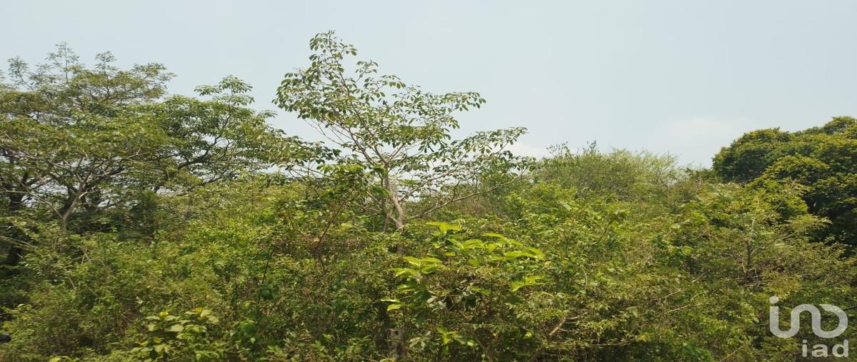 Foto de terreno habitacional en venta en conocido , mata de pita, veracruz, veracruz de ignacio de la llave, 28719931 No. 02