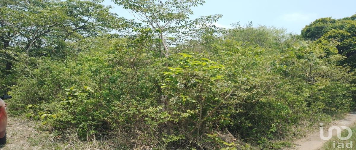 Foto de terreno habitacional en venta en conocido , mata de pita, veracruz, veracruz de ignacio de la llave, 28719931 No. 03