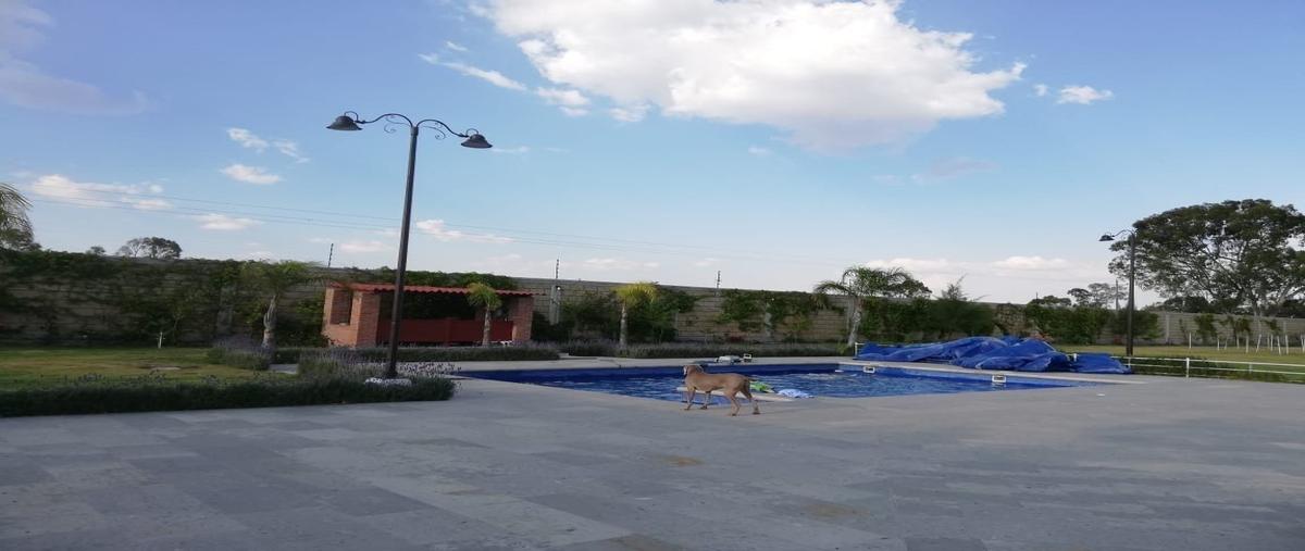 Foto de rancho en conocido , polotitlán de la ilustración, polotitlán, méxico, 28607994 foto 03 Foto de rancho en venta en conocido , polotitlán de la ilustración, polotitlán, méxico, 28607994 No. 03