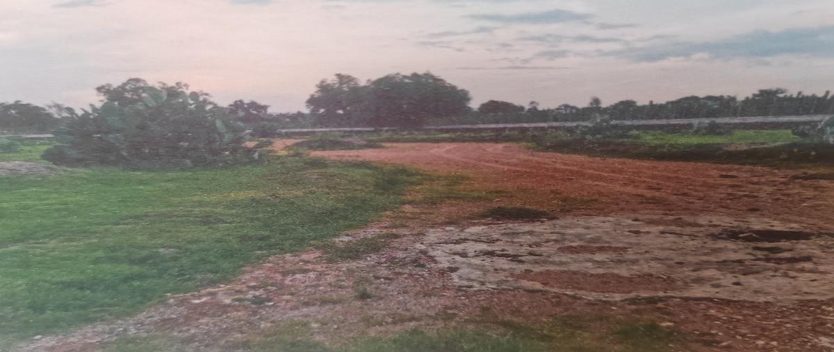 Foto de terreno industrial en venta en conocido , san antonio de las palmas, san martín de las pirámides, méxico, 28644652 No. 04