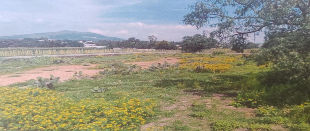 Foto de terreno industrial en venta en conocido , san antonio de las palmas, san martín de las pirámides, méxico, 28644652 No. 05