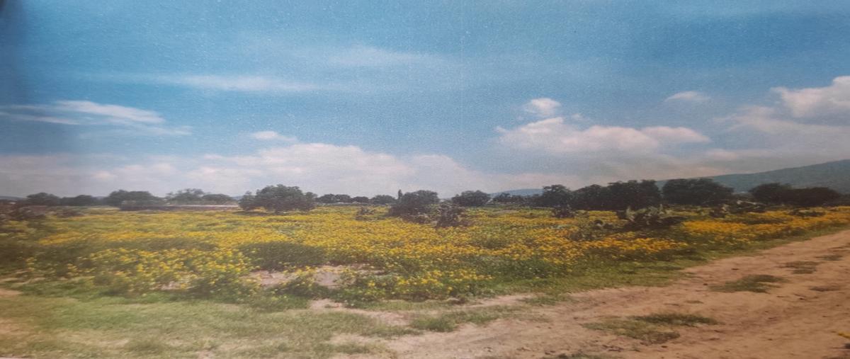 Foto de terreno industrial en venta en conocido , san antonio de las palmas, san martín de las pirámides, méxico, 28644652 No. 06