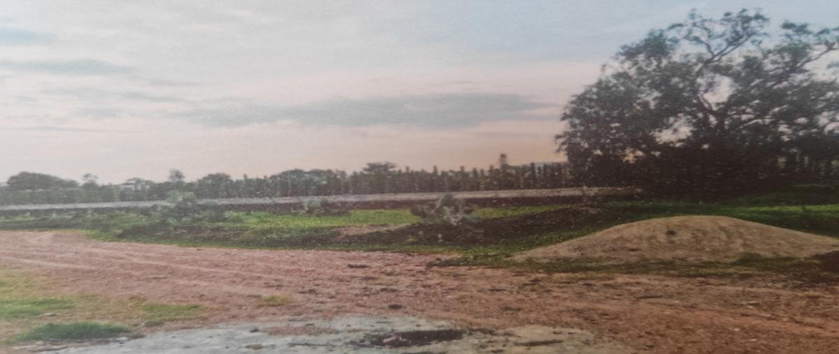Foto de terreno industrial en venta en conocido , san antonio de las palmas, san martín de las pirámides, méxico, 28913598 No. 04