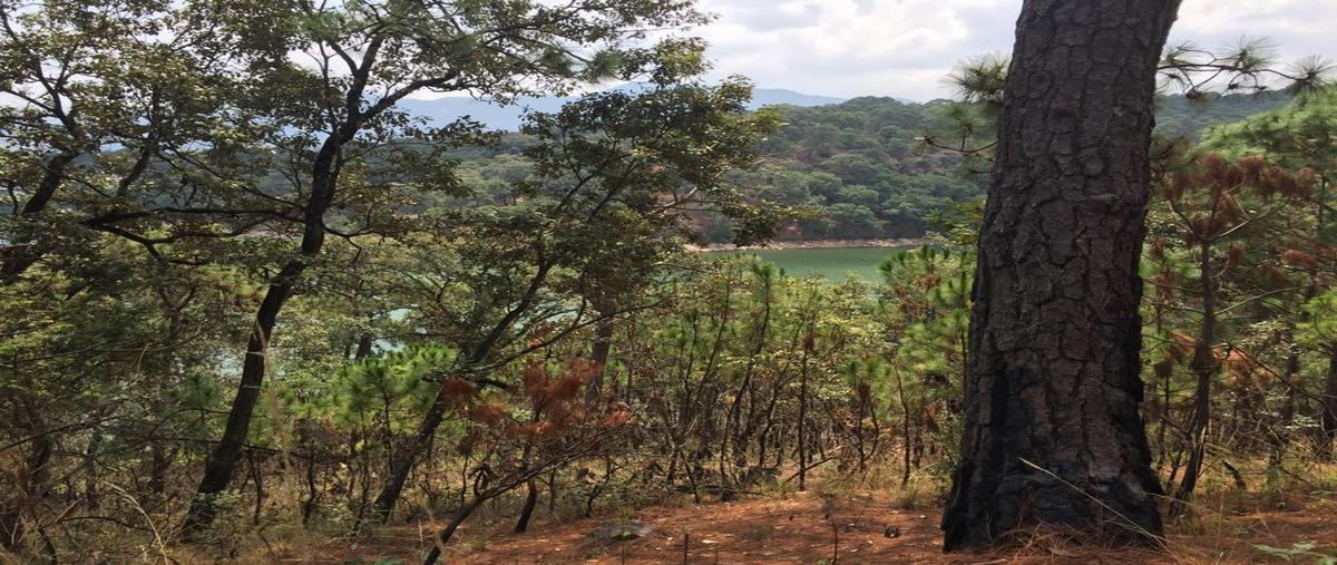 Foto de terreno habitacional en venta en conocido , valle de bravo, valle de bravo, méxico, 21379737 No. 04