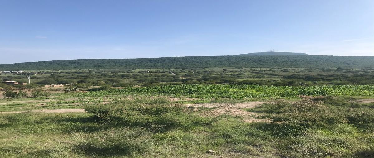 Foto de terreno habitacional en venta en conocido vegil y anexos las taponas , el vegil, huimilpan, querétaro, 17939575 No. 04