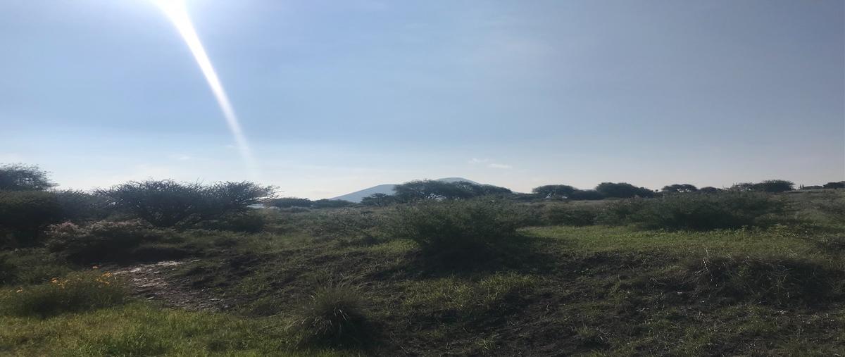 Foto de terreno habitacional en venta en conocido vegil y anexos las taponas , el vegil, huimilpan, querétaro, 17939575 No. 05