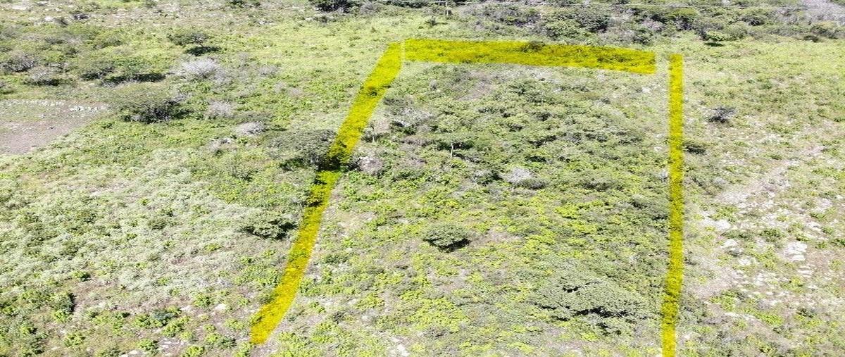 Foto de terreno habitacional en conocido , viva cárdenas, san fernando, chiapas, 28405634 foto 01 Foto de terreno habitacional en venta en conocido , viva cárdenas, san fernando, chiapas, 28405634 No. 01