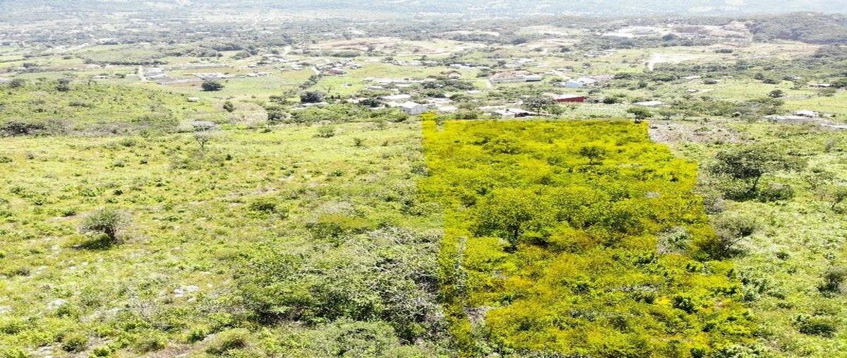 Foto de terreno habitacional en conocido , viva cárdenas, san fernando, chiapas, 28405634 foto 02 Foto de terreno habitacional en venta en conocido , viva cárdenas, san fernando, chiapas, 28405634 No. 02