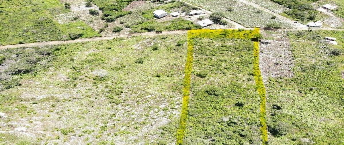 Foto de terreno habitacional en conocido , viva cárdenas, san fernando, chiapas, 28405634 foto 03 Foto de terreno habitacional en venta en conocido , viva cárdenas, san fernando, chiapas, 28405634 No. 03