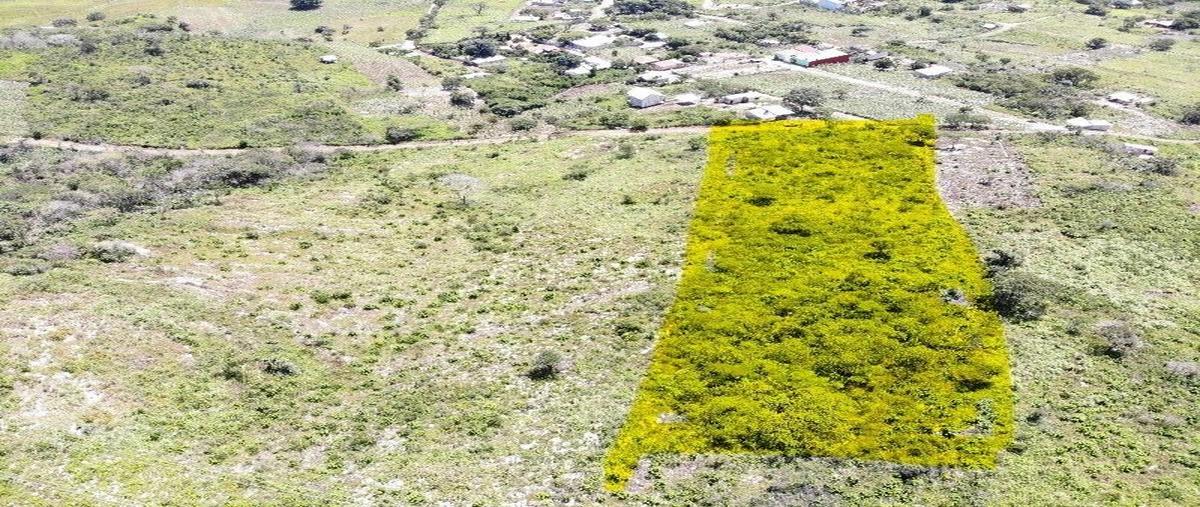 Foto de terreno habitacional en conocido , viva cárdenas, san fernando, chiapas, 28405634 foto 04 Foto de terreno habitacional en venta en conocido , viva cárdenas, san fernando, chiapas, 28405634 No. 04