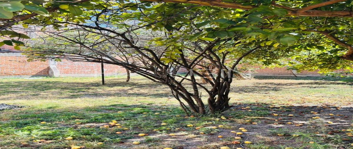 Foto de terreno habitacional en venta en  , constelación, salamanca, guanajuato, 0 No. 03