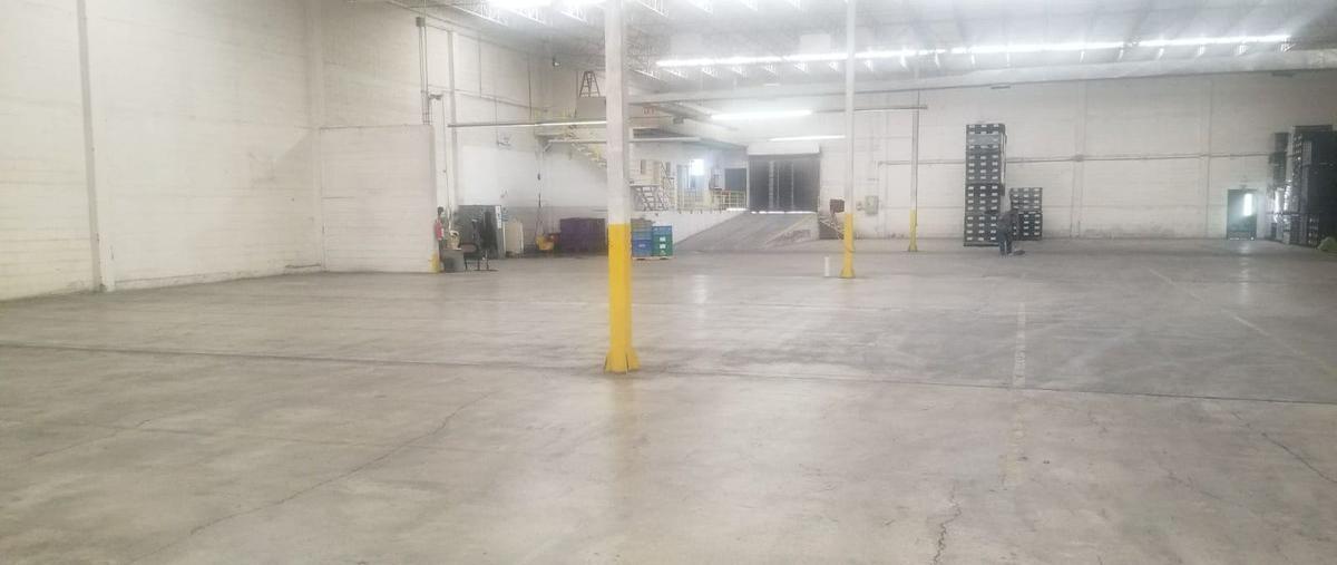 Foto de bodega en renta en  , constitución, juárez, chihuahua, 24300589 No. 03