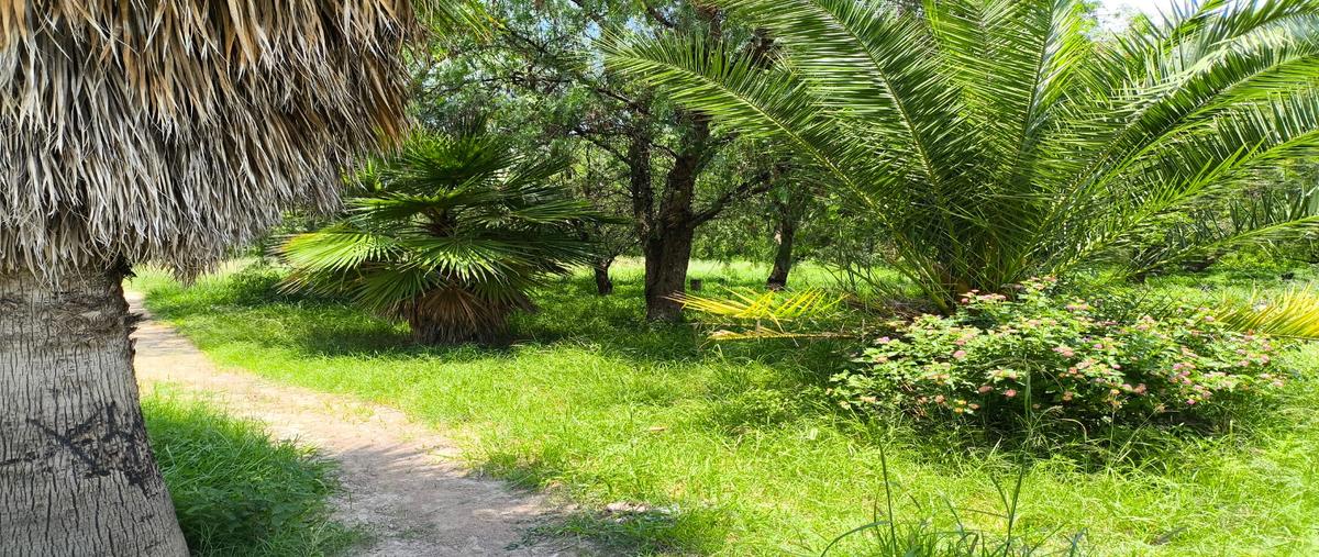 Foto de terreno habitacional en venta en constitucion , la guayana (rancho seco), jesús maría, aguascalientes, 0 No. 03