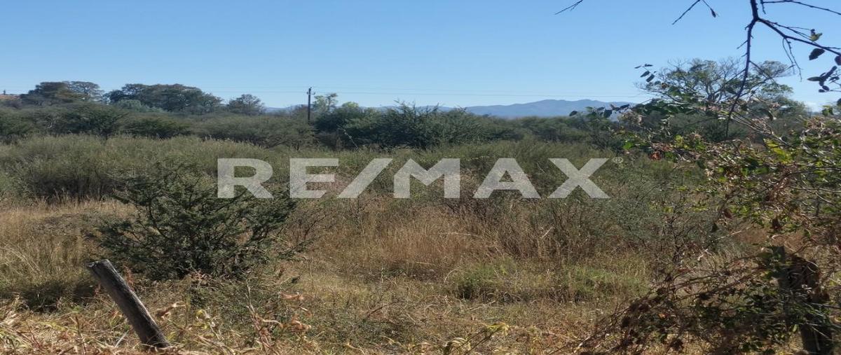 Foto de terreno habitacional en venta en constitución , nombre de dios centro, nombre de dios, durango, 0 No. 03