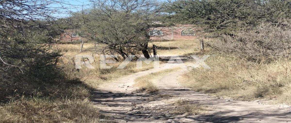 Foto de terreno habitacional en venta en constitución , nombre de dios centro, nombre de dios, durango, 0 No. 05