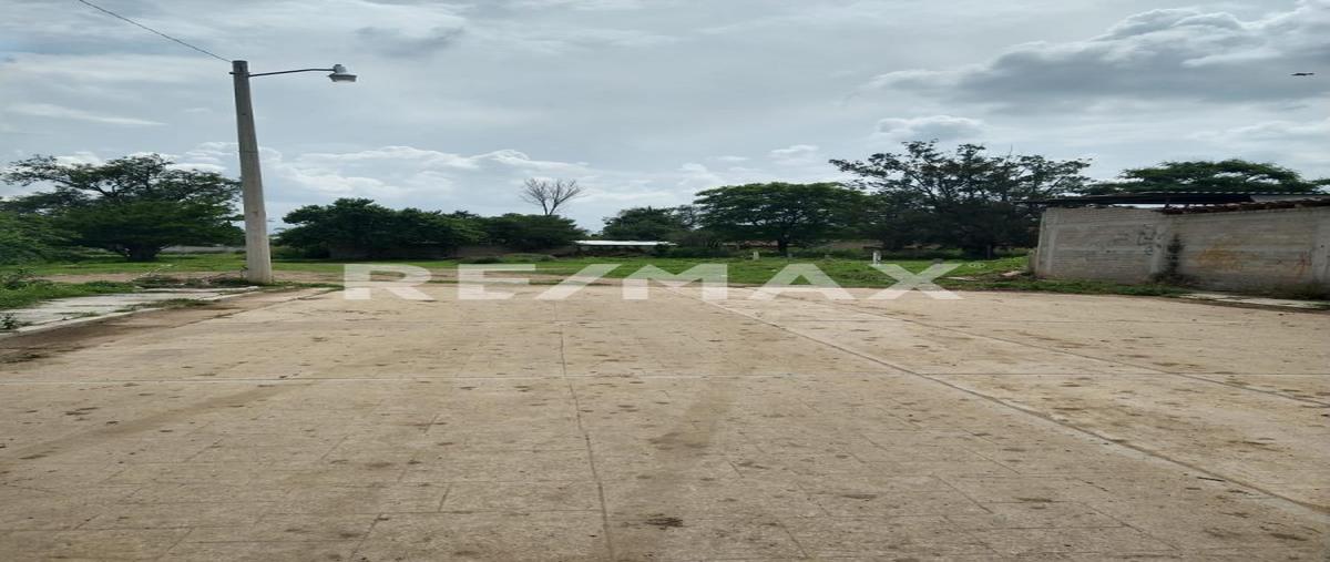 Foto de terreno habitacional en venta en constitución , reyes etla, reyes etla, oaxaca, 30312551 No. 03