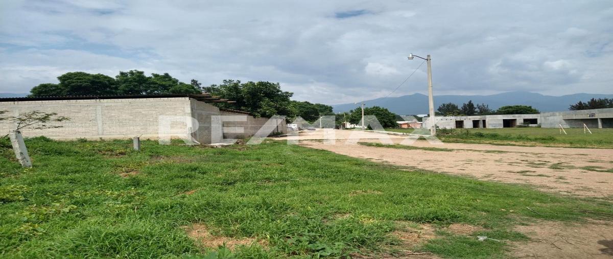Foto de terreno habitacional en venta en constitución , reyes etla, reyes etla, oaxaca, 30312551 No. 04