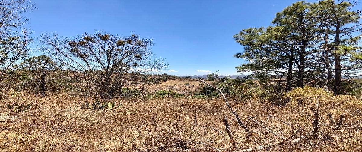 Foto de terreno habitacional en venta en constitución , tapalpa, tapalpa, jalisco, 27681893 No. 04