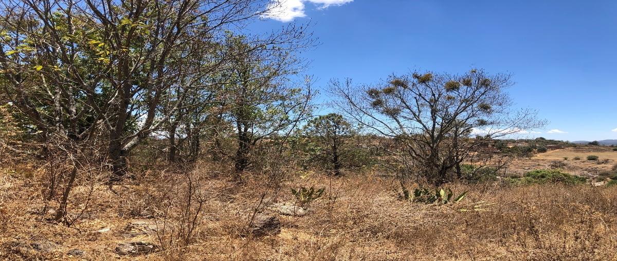 Foto de terreno habitacional en venta en constitución , tapalpa, tapalpa, jalisco, 27681893 No. 05