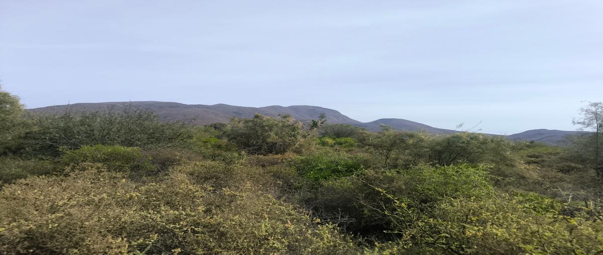 Foto de terreno habitacional en venta en  , constituyentes de sinaloa, navolato, sinaloa, 29769342 No. 05