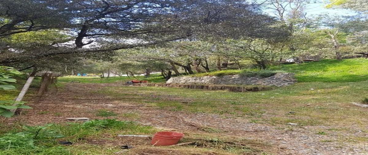 Foto de terreno habitacional en , contadero, cuajimalpa de morelos, df / cdmx, 27037796 foto 03 Foto de terreno habitacional en venta en , contadero, cuajimalpa de morelos, df / cdmx, 27037796 No. 03