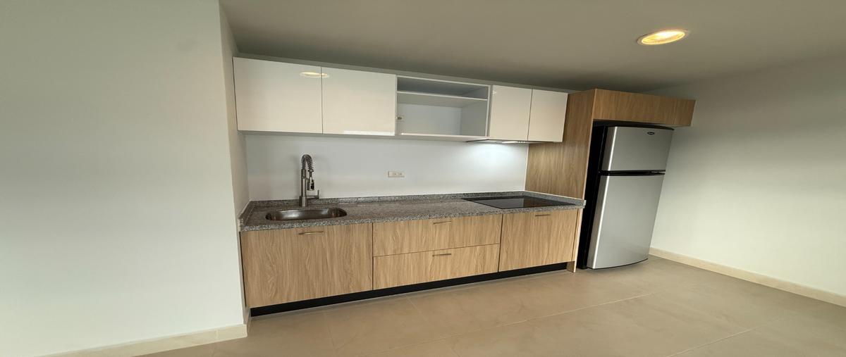 Foto de departamento en renta en  , contry, monterrey, nuevo león, 0 No. 03