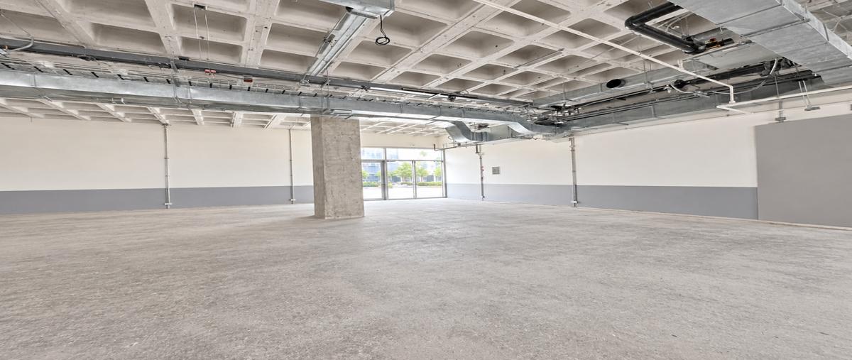 Foto de local en renta en  , contry, monterrey, nuevo león, 31742725 No. 05
