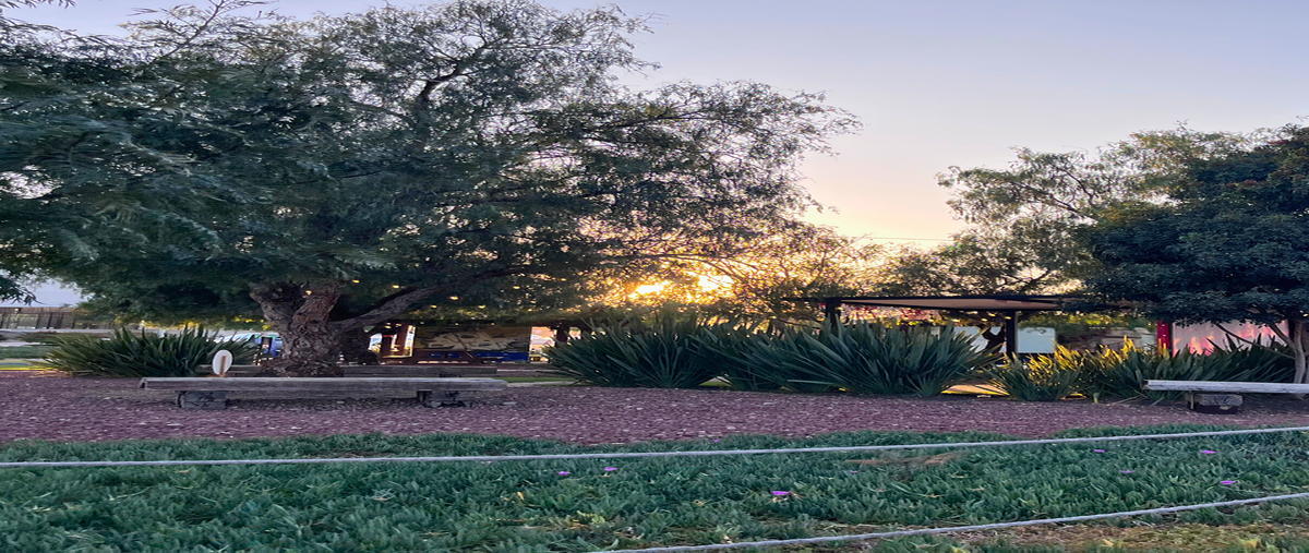 Foto de terreno habitacional en venta en copal , juriquilla, querétaro, querétaro, 0 No. 07