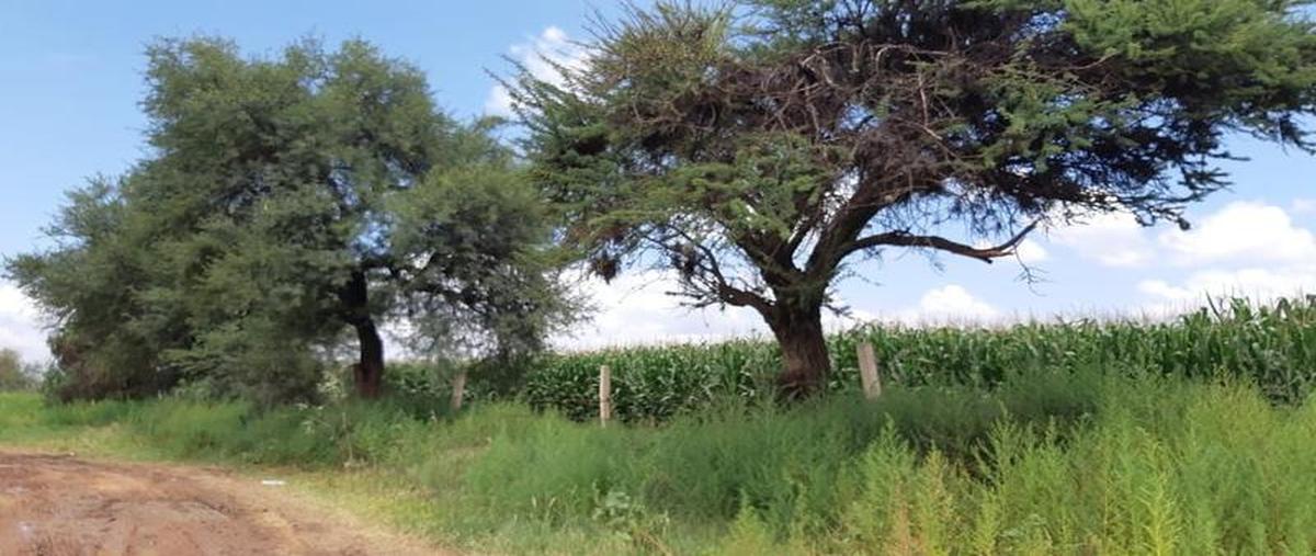 Foto de casa en venta en  , coplamar, cosío, aguascalientes, 11233312 No. 05