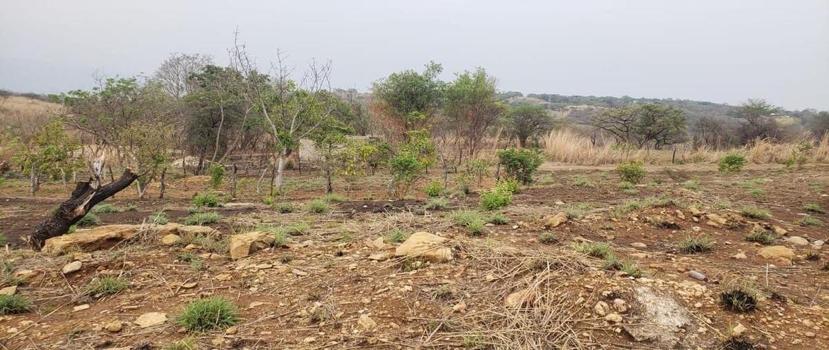 Foto de terreno habitacional en venta en copoya , copoya, tuxtla gutiérrez, chiapas, 28872880 No. 03