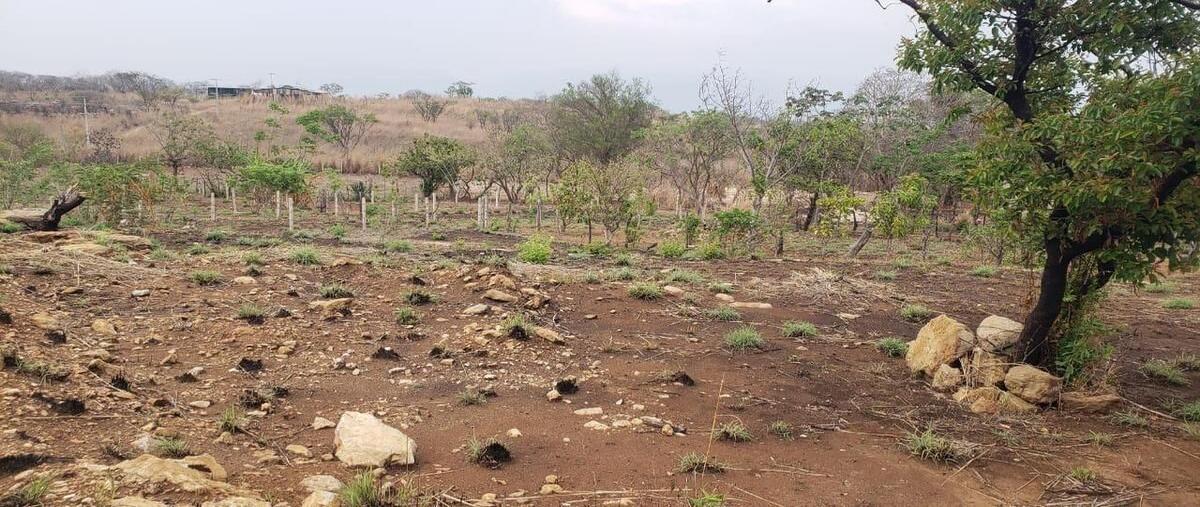 Foto de terreno habitacional en venta en copoya , copoya, tuxtla gutiérrez, chiapas, 28872880 No. 04